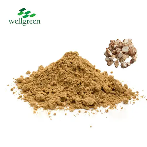 Kaempferia Galanga Root Extract